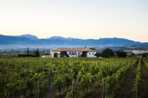 Cantina Lungarotti Turrita di Montefalco