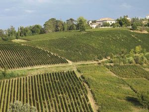 tenuta maz
