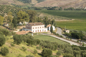 museo-vites-tenuta-rosaneti_1